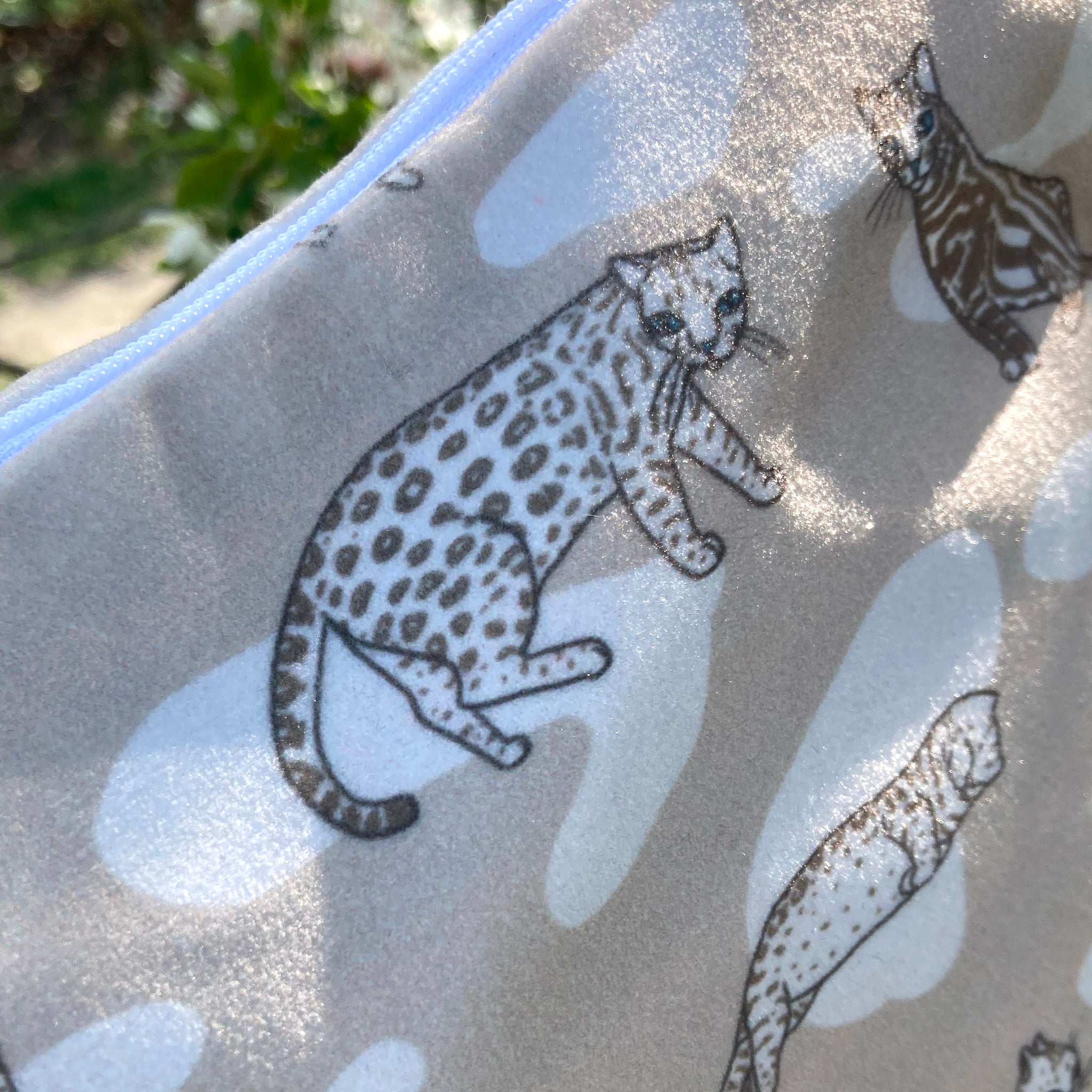 Pouch Bengals